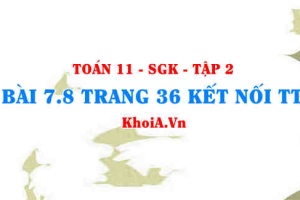 Bài 7.8 trang 36 Toán 11 Kết nối tri thức Tập 2
